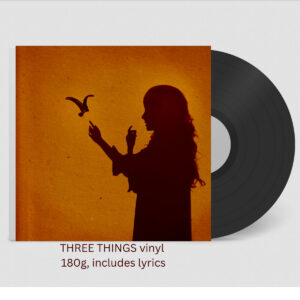 Vinilo de Three Things de Elizabeth Shepherd